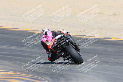 media/Mar-10-2024-SoCal Trackdays (Sun) [[6228d7c590]]/9-Turn 8 Backside (1150am)/